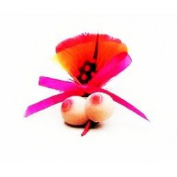 BROCHE PLUMAS PECHO EVA