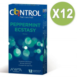 CONTROL ADAPTA MENTA 12 UNID