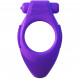 FANTASY C RING SILICONE VIBRATING TAINT ALIZE